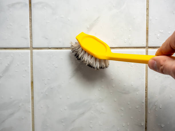 Best Mold Cleaning Services  in Bakerstown, PA