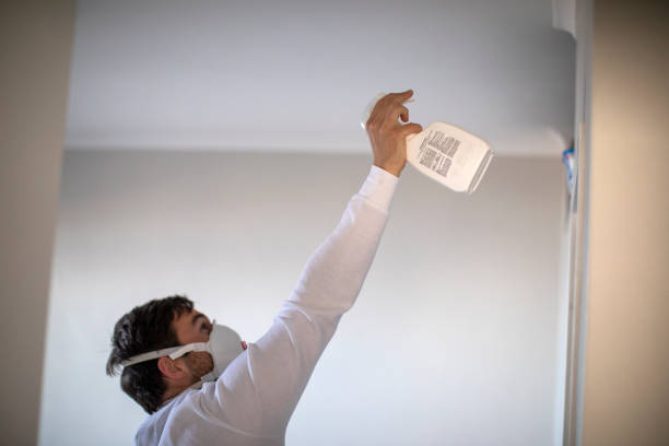 Best Mold Damage Repair  in Bakerstown, PA