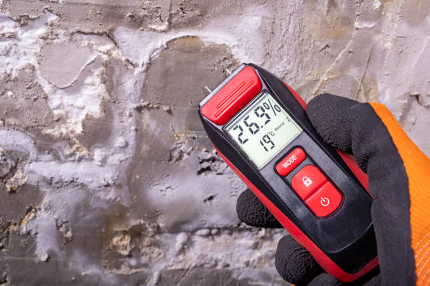 Best Certified Mold Removal  in Bakerstown, PA