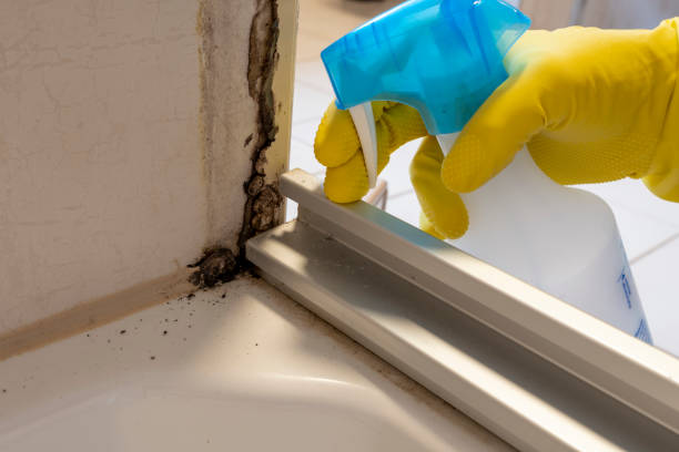 Home Mold Removal in Bakerstown, PA