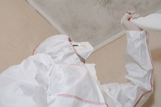 Mold Removal and Inspection in Bakerstown, PA